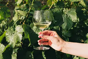 Singlefile Wines Denmark: A Sense of Place