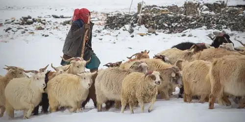 Kashmir to Ladakh: Where Valleys Meet the Sky