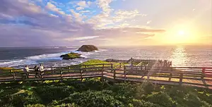 Melbourne magic city discovery + penguin parade tour