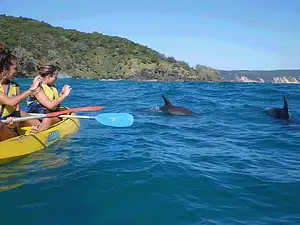 Great Beach Drive & Dolphin Kayak Adventure - Rainbow Beach