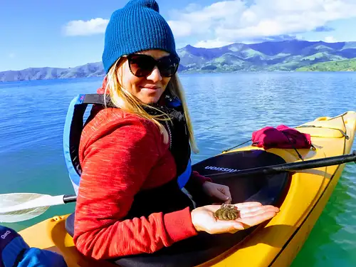Akaroa E-Bike & Sea Kayak Explorer