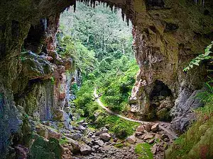 Jenolan Caves & Kanangra Walls Lookout 4WD Day Tour