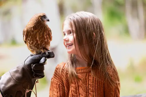 Capes Raptor Centre: Encounters and Birds of Prey Forest Walk