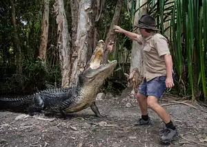 Hartley's Crocodile Adventures Admission