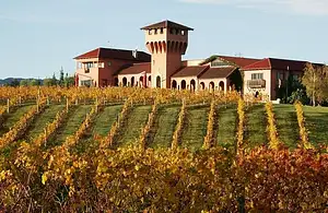 Hop-on Hop-off Wine, Beer, Food & Wonders Tour of Marlborough | From Picton or Blenheim