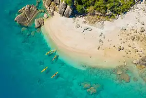 Half Day Whitsundays Inner Island Turtle Kayaking Tour