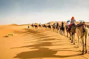 8 Day Classic Morocco | Casablanca to Marrakech | Intrepid Travel