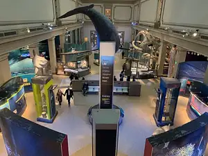 Washington DC Smithsonian National Museum of Natural History tickets and guided tour - Walking tour